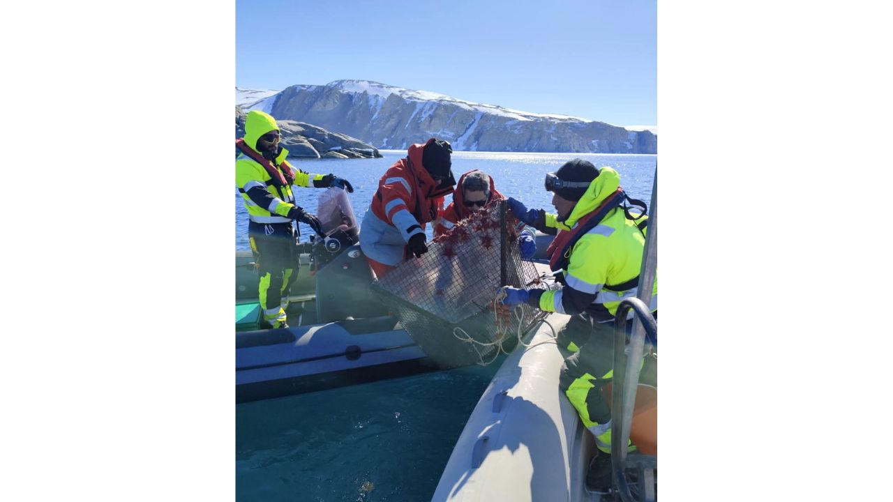 Raccolta di campioni nelle acque antartiche