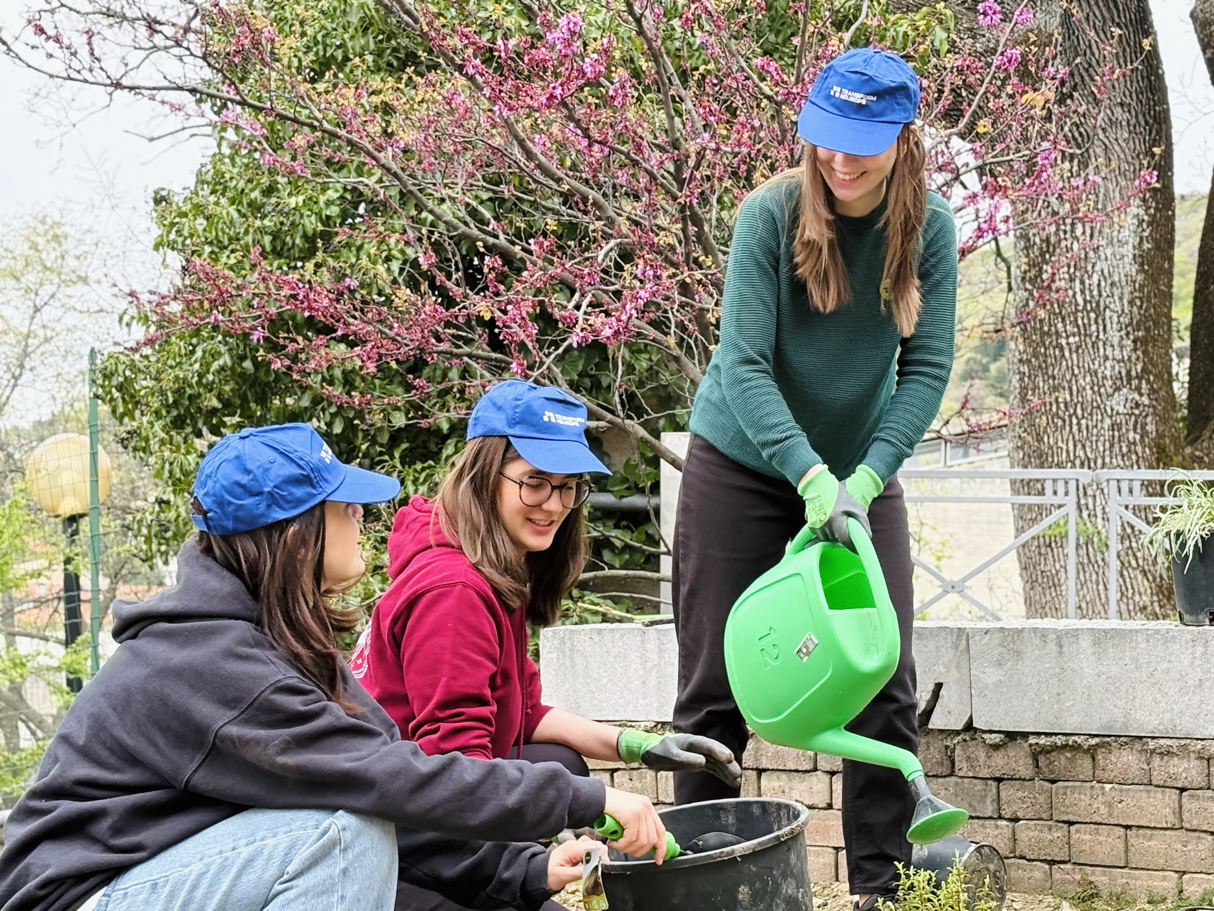 T4EU Student Garden (3)
