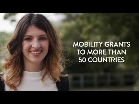 Preview image for the video "ISTITUZIONALE ENG".