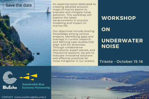 workshop underwater noise 