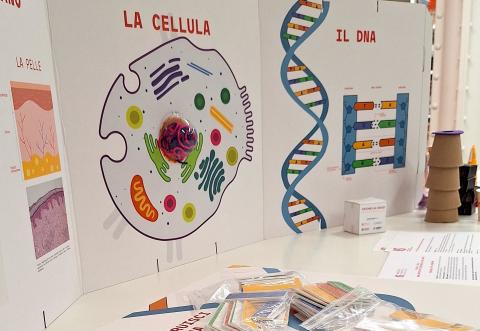 Progetto Occhio al Sole!