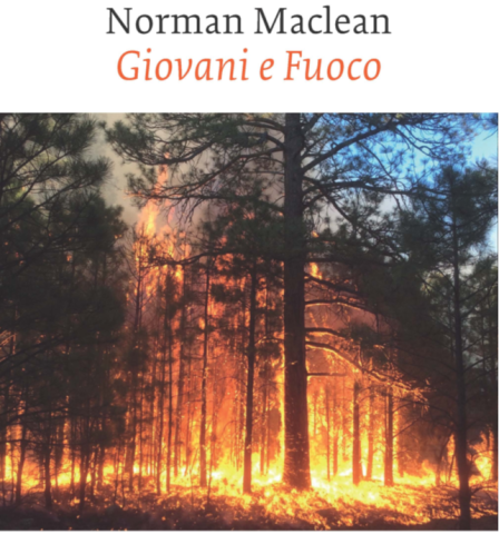 Giovani e fuoco img