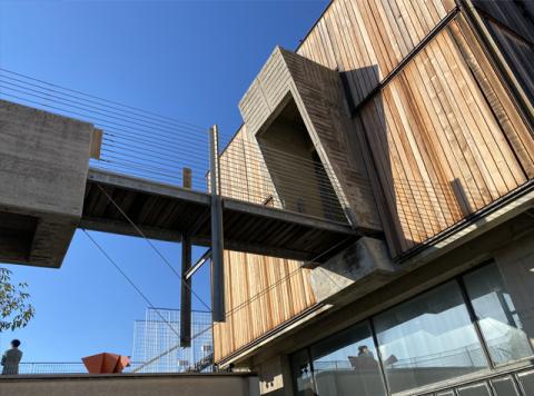 Archi Rogers 5mag26 img