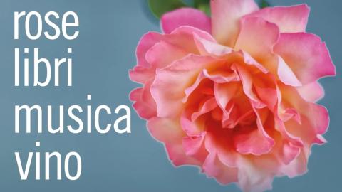 Rose Libri Musica Vino img
