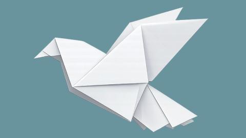 settimana per la pace