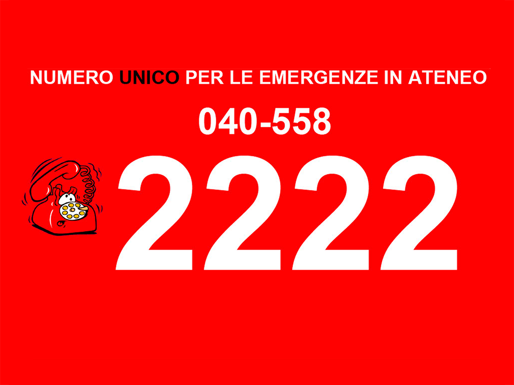 grafica numero unico di emergenza in ateneo 04058822