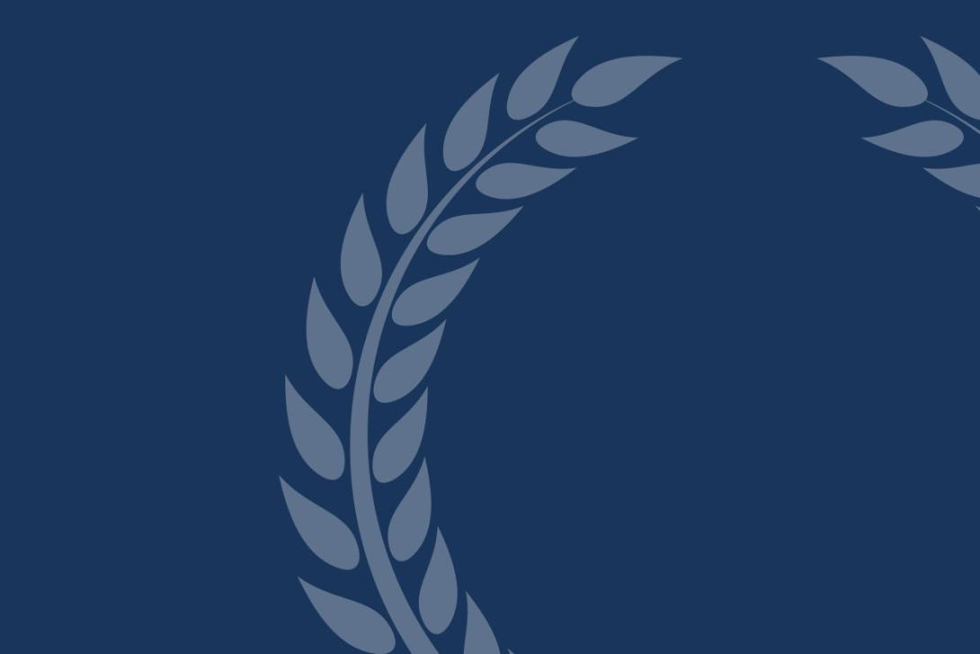 immagine decorativa