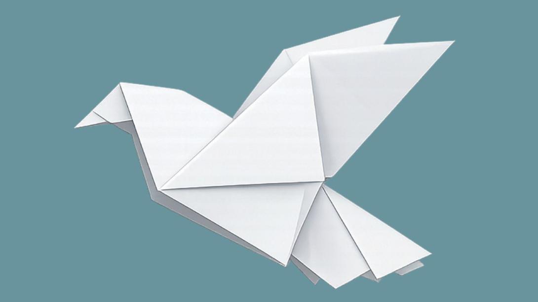 settimana per la pace