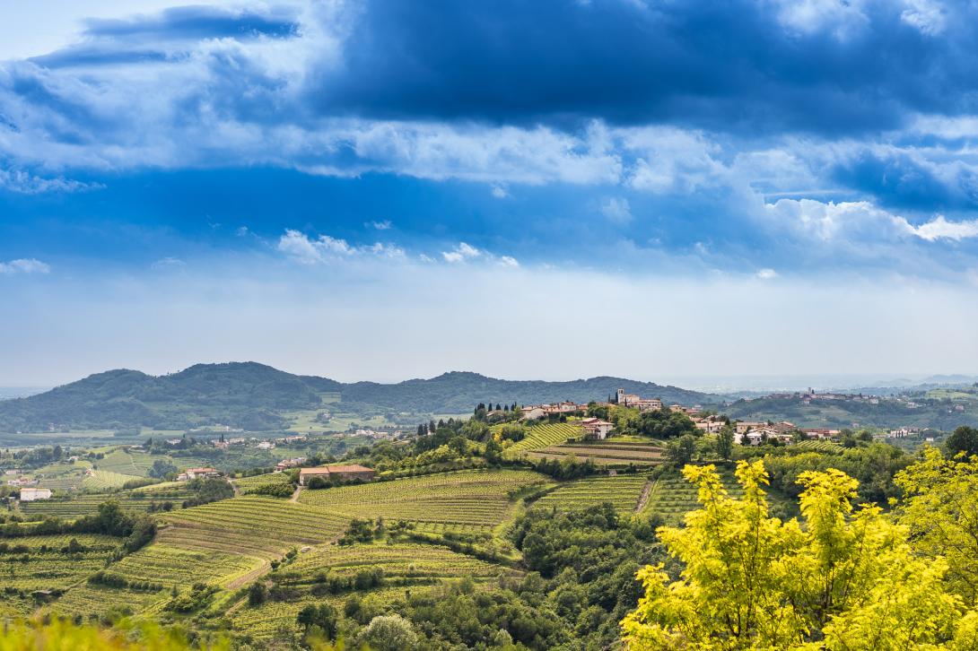 Collio