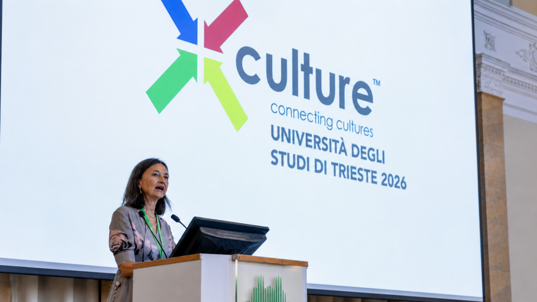 Vianelli X-Culture
